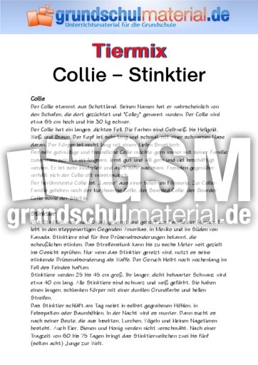 Collie - Stinktier.pdf